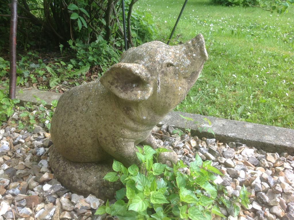 Au Fond Du Jardin Maison D'Hotes Hotel Saint-Saëns Kültér fotó